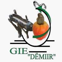 GIE DEMIIR logo - Similar company to Gie Mourchid