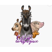 Association Cibou et Compagnie logo - Similar company to Qixi