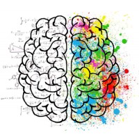 AVIDACE - Asociación Valenciana de Afectados de Ictus y Daño Cerebral logo - Similar company to Aepnl Asociación Española De Programación Neurolingüística