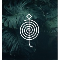 Finding Healers logo - Similar company to Souladvisor