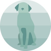 Dog Foster Hub logo - Similar company to Foster Pride