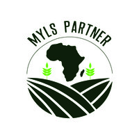 MYLS PARTNER logo - Similar company to Micro Cargo