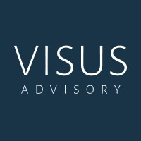 VISUS Advisory logo - Similar company to Companyon Analytics Gmbh