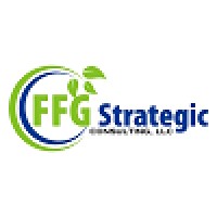 FFG Strategic Consulting, LLC logo - Similar company to 4D Engineering