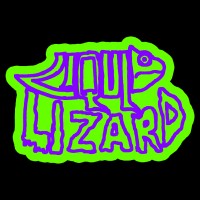 Liquid Lizard logo - Similar company to Baws Studio