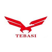 Chongqing Tebas Technology Co Ltd logo - Similar company to Aldaa