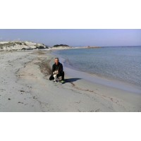 House and retired pet custody in Sardinia logo - Similar company to Meg Creative House