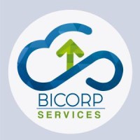 BICORP Services logo - Similar company to Bicorp