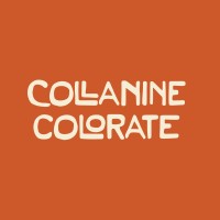 Collanine Colorate logo - Similar company to Liminal