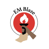 EM-Blaze logo - Similar company to Link Centre