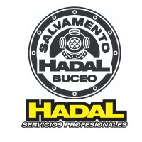 HADAL SERVICIOS PROFESIONALES logo - Similar company to Serprosub