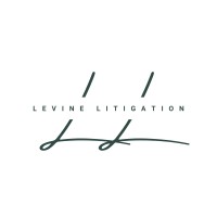 Levine Litigation Llc