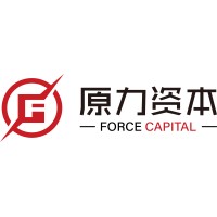 Force Capital logo - Similar company to Silkstone Group