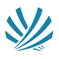 Volant, LLC logo