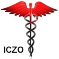 ICZO vzw logo - Similar company to Jasperalblas.Nl Bv