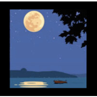 Geneva Lake Dark Sky Initiative