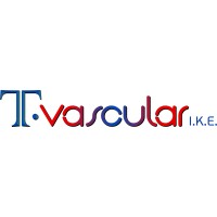 T-VASCULAR logo - Similar company to Teamedical