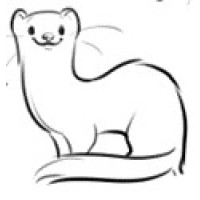 Patent Ferret logo - Similar company to Ip Arkitek