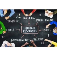 Everything HR logo - Similar company to Everything Hr