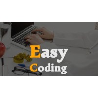 Easy Coding logo - Similar company to Easy Code