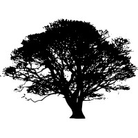 Oak Guild Institute logo - Similar company to Message Maven Consulting