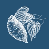 Ever Uvi logo - Similar company to Octana