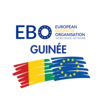 EBO Guinée logo - Similar company to Devroe Marktstudies