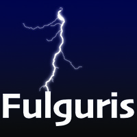 Fulguris logo - Similar company to Fortim Technologies