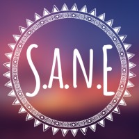 S.A.N.E Social Media And Networking Enterprise logo - Similar company to Jake Media
