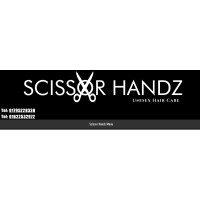 SCISSOR HANDZ2 LIMITED logo - Similar company to Wonderful Life Phbs Ltd