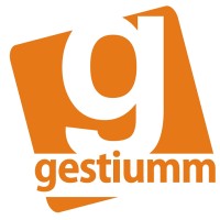 Gestiumm logo - Similar company to Grup Gestem