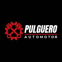 Pulguero Automotor