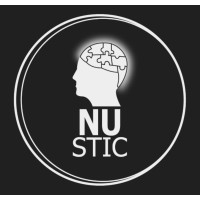 Nu Stic logo - Similar company to The Platinum Triangle