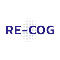 RE-COG Infotechnologies Pvt. Ltd. logo - Similar company to Vinayaka Microns