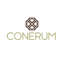 CONERUM AG logo - Similar company to Hr Data Team