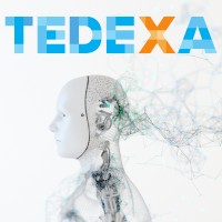 TEDEXA GmbH logo - Similar company to Rmprivacy Gmbh