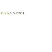 Flick&Partner Unternehmensberatung logo - Similar company to No-Touch Robotics