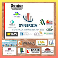 SC SYNERGIA GERENCIA INMOBILIARIA BPO logo - Similar company to Dual Gestión Inmobiliaria