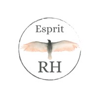 Esprit RH logo - Similar company to Esprit-Rh
