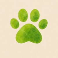Mietzekater logo - Similar company to Fundación Conect Visión