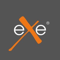 eXemedia Bilişim A.Ş. logo - Similar company to 4Analyse Tech Solutions
