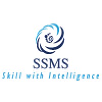 Sixth Sense Mobile Solutions logo - Similar company to Itpm Consulting