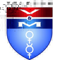 Venus & Mercury Telecom B.V. logo - Similar company to Y Corporation Limited