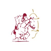 JUMPING INTERNATIONAL DE BLAYE logo - Similar company to Feuillette Limonest