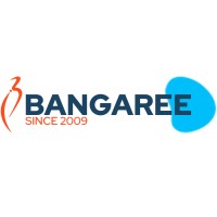 Bangaree Infotech Solutions - India logo - Similar company to Ansh Infotech