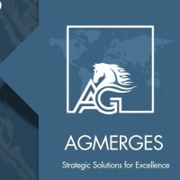 AGmerges Group logo - Similar company to Sell Squads
