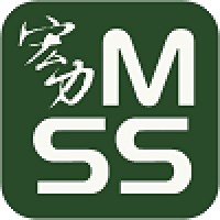 Megastrength Security Services logo - Similar company to Hong Kong Private Investigator By Icia