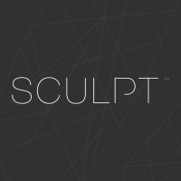 Sculpt Fireplace Collection logo - Similar company to Sniper Solutions Pty Ltd
