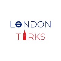 LondonTurks logo - Similar company to Denise-Ict