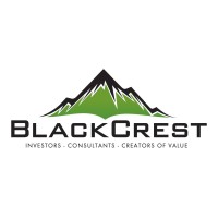 BlackCrest Capital, LLC logo - Similar company to Comfort First, Inc.